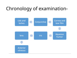 Chronology of examination-
 