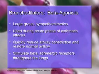 Copyright © 2002, 1998, Elsevier Science (USA). All rights reserved.
Bronchodilators: Beta-AgonistsBronchodilators: Beta-Agonists
• Large group, sympathomimeticsLarge group, sympathomimetics
• Used during acute phase of asthmaticUsed during acute phase of asthmatic
attacksattacks
• Quickly reduce airway constriction andQuickly reduce airway constriction and
restore normal airflowrestore normal airflow
• Stimulate betaStimulate beta22 adrenergic receptorsadrenergic receptors
throughout the lungsthroughout the lungs
 