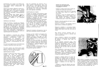 permanecer nos canais, ela poderá ata-       lhas de regulagem da mistura (17) e
car o zamak, material com o qual são         suas molas e atarraxe-as, mas sem            TESTE DE VEDAÇÃO DAS
construidos vários componentes do            apertá-las até o fim. Apenas encoste-as      VÁLVULAS DO SISTEMA DE
carburador.                                  de leve contra as suas sedes e volte         ACELERAÇÃO RÁPIDA
                                             exatamente uma volta, em cada, para
Nunca use arames, alfinetes, brocas etc.,    não danificar as restrições calibradas       Coloque a esfera maior (9) no fundo do
para limpar um calibre ou res. trições       que estas agulhas controlam.                 cilindro da bomba de aceleração.
calibradas, pois o uso desses elementos
provavelmente irá modificar o tamanho                                                     A esfera menor (36) deve ser colocada
dos orifícios, alterando o funcionamento     MONTAGEM DO CORPO                            no canal (com rosca) do calibre de
dessas peças.                                Coloque as mangas misturadoras como          aceleração.
Não use estopa para limpar peças e           auxílio da ferramenta especial 490007.       Arregace o couro do êmbolo injetor e,
componentes do carburador, pois este         Introduza a manga misturadora e a            em seguida, faça o couro voltar à po-
material deixa fiapos que possam vir a       ferramenta no interior do furo do corpo      sição normal. Introduza o êmbolo in-
entupir os calibres e as restrições          notando a posição em que a parte             jetor dentro do cilindro, tomando
calibradas.                                  chanfrada da manga deve ficar.               cuidado para que o couro não se dobre.
                                             Aperte a ferramenta contra o carburador
                                             para colocar a manga no lugar (ig. 17).
INSPEÇAO DAS PEÇAS                                                                       Encha a cuba de gasolina até que o nível
                                             Desatarraxe então a ferramenta girando-
                                             a no sentido dos ponteiros do relógio       atinja um centímetro.
Todas as juntas e arruelas de vedação,
sempre que forem desmontadas, devem          para que ela se desligue da manga e         Empurre o êmbolo e, em seguida, puxe-o                         Fig. 18
ser substituídas por novas, pois, por        saia. Observe que as duas mangas são        para encher o cilindro de gasolina.
ocasião da desmontagem, tais peças           iguais e podem ser montadas em
geralmente se ressecam ou deformam,          qualquer um dos dois furos.                 Empurre o êmbolo, e, ao mesmo tempo,
não sendo mais aproveitáveis. Verifique                                                  tampe parcialmente o canal onde está a
se os calibres são realmente os indicados                                                esfera menor para evitar que esta saia do
para esse carburador, comparando o           Depois de retirada a ferramenta, veja se    canal.
número nele gravado com o da tabela de       não ficou nenhuma rebarba na manga.
especificações do carburador.
                                                                                         Não deverá retornar gasolina para a
                                             Coloque os dois calibres principais (14),   cuba; se houver retorno, a válvula está
Não modifique o tamanho dos orifícios        atarraxando-os    com    a   ferramenta     suja ou danificada.
dos calibres e restrições calibradas, pois   especial 490012. Note que os dois
qualquer      modificação      altera    o   calibres são iguais e podem ser mon-        Puxe o êmbolo e observe se a gasolina
funcionamento     do   carburador.    Não    tados indiferentemente em qualquer um       que ficou no canal desce ou fica parada.
substitua peças do carburador por ou-        dos dois furos.                             Se descer, a válvula está suja ou
tras peças que não as indicadas, pois        Coloque as duas arruelas de vedação         danificada.
isso alterará o funcionamento do con-        novas nos furos onde serão montados os
                                             bujões. Coloque então os dois bujões        Se as válvulas estiverem sujas, uma
junto.                                                                                   simples limpeza resolverá o problema. Se
                                             atarraxando-os e apertando-os bem, com
Se notar que alguma peça está defeituosa     a ferramenta especial 490013, para          estiverem danificadas com a esfera
os gasta, substitua-a por uma nova.          evitar vazamento.                           dentro da válvula, ponha sobre ela um
                                             Coloque o calibre suplementar (31) e a      pino com extremidade chata e dê uma
                                             sua arruela nova e atarraxe-o com a         batida de leve no pino com um martelo
Se notar, porém, que várias peças estão      ferramenta especial 490018.                 leve (fig. 18).
gastas, substitua todas as peças velhas                                                  Faça novamente o teste para verificar se
pelas que vêm no jogo de reparo.                                                         o conserto ficou bom. Coloque a junta
                                                                                         (34) e o calibre de aceleração (33),
MONTAGEM DA BASE
                                                                                         prendendo-o com o parafuso de fixação
Coloque a junta (41) nova sobre a parte                                                  (32). Retire a gasolina, o êmbolo injetor e
interior   do  corpo   do    carburador,                                                 a esfera do fundo do cilindro.
verificando se os furos daquela coin-
cidem com os deste. Coloque a base                                                       Coloque a agulha dentro do corpo da                           Fig. 19
sobre a junta e ponha os ,quatro para-                                                   válvula (11). Observe que a ponta de
fusos com suas arruelas, notando que os                                                  borracha da agulha deve ser colocada
dois parafusos mais grossos e curtos (19)                                                para o lado de dentro do corpo da             Para colocar a presilha (10) de fixação,
correspondem aos furos do centro da                                                      válvula. Coloque o eixo na bóia (12) e        apóie as extremidades da presilha sobre
base, e os dois parafusos mais finos e                                                   monte o conjunto no seu lugar, na             o eixo. Empurre, então, a presilha com
compridos (18) correspondem aos furos                                                    cuba.                                         uma chave-de-fenda, de maneira que ela
das extremidades da base. Aperte bem os                                                                                                encaixe debaixo da saliência existente
parafusos com uma chave Philips.                                                           Coloque o corpo da válvula com sua          dentro da cuba, e verifique se a bóia se
Coloque as duas agu                                                                      arruela nova e aperte-o bem para evitar       movimenta com facilidade (fig. 19).
                                                                                         vazamentos.
 