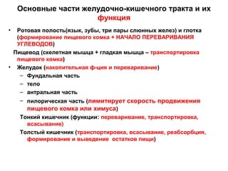 Основные части желудочно-кишечного тракта и их
функция
•

Ротовая полость(язык, зубы, три пары слюнных желез) и глотка
(формирование пищевого комка + НАЧАЛО ПЕРЕВАРИВАНИЯ
УГЛЕВОДОВ)
Пищевод (скелетная мышца + гладкая мышца – транспортировка
пищевого комка)
• Желудок (накопительная ф-ция и переваривание)
– Фундальная часть
– тело
– антральная часть
– пилорическая часть (лимитирует скорость продвижения
пищевого комка или химуса)
Тонкий кишечник (функции: переваривание, транспортировка,
всасывание)
Толстый кишечник (транспортировка, всасывание, реабсорбция,
формирование и выведение остатков пищи)

 