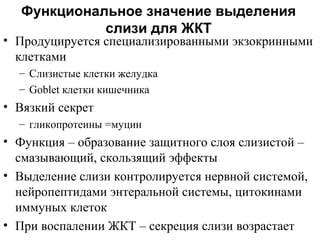 Функциональное значение выделения
слизи для ЖКТ

• Продуцируется специализированными экзокринными
клетками
– Слизистые клетки желудка
– Goblet клетки кишечника

• Вязкий секрет
– гликопротеины =муцин

• Функция – образование защитного слоя слизистой –
смазывающий, скользящий эффекты
• Выделение слизи контролируется нервной системой,
нейропептидами энтеральной системы, цитокинами
иммуных клеток
• При воспалении ЖКТ – секреция слизи возрастает

 