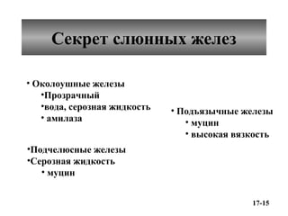 Секрет слюнных желез
• Околоушные железы
•Прозрачный
•вода, серозная жидкость
• амилаза

• Подъязычные железы
• муцин
• высокая вязкость

•Подчелюсные железы
•Серозная жидкость
• муцин
17-15

 