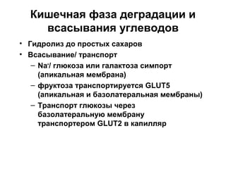 Кишечная фаза деградации и
всасывания углеводов
• Гидролиз до простых сахаров
• Всасывание/ транспорт
– Na+/ глюкоза или галактоза симпорт
(апикальная мембрана)
– фруктоза транспортируется GLUT5
(апикальная и базолатеральная мембраны)
– Транспорт глюкозы через
базолатеральную мембрану
транспортером GLUT2 в капилляр

 