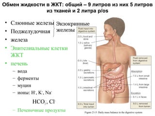 Обмен жидкости в ЖКТ: общий – 9 литров из них 5 литров
из тканей и 2 литра p/os

•
•
•
•

Слюнные железы Экзокринные
Поджелудочная железы
железа
Эпителиальные клетки
ЖКТ
• печень
–
–
–
–

вода
ферменты
муцин
ионы: H+, K+, Na+

HCO3-, Cl– Печеночные продукты

Figure 21-5: Daily mass balance in the digestive system

 