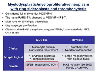 Myelodysplastic/myeloproliferative neoplasm
with ring sideroblasts and thrombocytosis
• Considered full entity under MDS/MPN
• The name RARS-T is changed to MDS/MPN-RS-T.
• Must have >/= 15% ringed sideroblasts
• Megakaryocyte proliferation
• Often associated with the spliceosome gene SF3B1+/- co-mutated with JAK2,
CALR or MPL
MDS like MPN like
Clinical
• Macrocytic anemia
• Transfusion requirement
• Thrombocytosis
• Need for cytoreduction
Morphological
• Erythroid dysplasia
• Ring sideroblasts
• Large megakaryocytes
with bulbous nuclei
Genetic
SF3B1 mutation (80-90%) JAK2 mutation (50-60%)
Rarely CALR/MPL
 