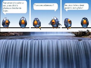 286759 martine 34 (1)