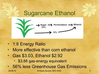 04/28/16 Kimberly Murphy GEO 4332 5
Sugarcane Ethanol
• 1:8 Energy Ratio
• More effective than corn ethanol
• Gas $3.03, Ethanol $2.92
• $3.88 gas-energy equivalent
• 56% less Greenhouse Gas Emissions
 