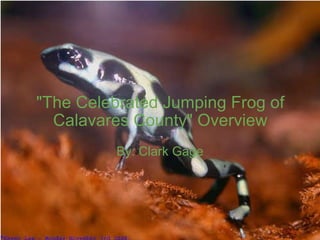 &quot;The Celebrated Jumping Frog of Calavares County&quot; Overview   By: Clark Gage 