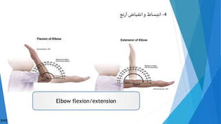 4-‫نج‬‫ر‬‫آ‬‫انقباض‬‫و‬ ‫انبساط‬
9/45
Elbow flexion/extension
 