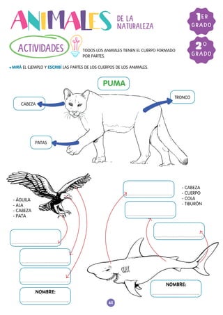 65
TODOS LOS ANIMALES TIENEN EL CUERPO FORMADO
POR PARTES.
l MIRÁ EL EJEMPLO Y ESCRIBÍ LAS PARTES DE LOS CUERPOS DE LOS ANIMALES.
ACTIVIDADES
GRADO
1ER
DE LA
NATURALEZA
GRADO
20
PUMA
CABEZA
PATAS
TRONCO
NOMBRE:
NOMBRE:
- ÁGUILA
- ALA
- CABEZA
- PATA
- CABEZA
- CUERPO
- COLA
- TIBURÓN
 