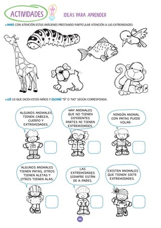 66
l LEÉ LO QUE DICEN ESTOS NIÑOS Y ESCRIBÍ “SÍ” O “NO” SEGÚN CORRESPONDA:
IDEAS PARA APRENDER
l MIRÁ CON ATENCIÓN ESTAS IMÁGENES PRESTANDO PARTICULAR ATENCIÓN A LAS EXTREMIDADES:
ACTIVIDADES
ALGUNOS ANIMALES
TIENEN CABEZA,
CUERPO Y
EXTREMIDADES.
HAY ANIMALES
QUE NO TIENEN
DIFERENTES
PARTES NI TIENEN
EXTREMIDADES.
LAS
EXTREMIDADES
SIEMPRE ESTÁN
DE A PARES.
NINGÚN ANIMAL
CON PATAS PUEDE
VOLAR.
EXISTEN ANIMALES
QUE TIENEN SIETE
EXTREMIDADES.
ALGUNOS ANIMALES
TIENEN PATAS, OTROS
TIENEN ALETAS Y
OTROS TIENEN ALAS.
 