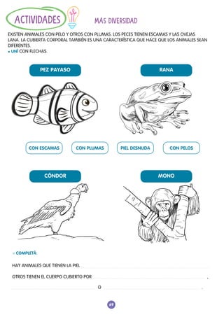 69
MÁS DIVERSIDAD
EXISTEN ANIMALES CON PELO Y OTROS CON PLUMAS. LOS PECES TIENEN ESCAMAS Y LAS OVEJAS
LANA. LA CUBIERTA CORPORAL TAMBIÉN ES UNA CARACTERÍSTICA QUE HACE QUE LOS ANIMALES SEAN
DIFERENTES.
l UNÍ CON FLECHAS.
ACTIVIDADES
HAY ANIMALES QUE TIENEN LA PIEL 						
OTROS TIENEN EL CUERPO CUBIERTO POR 						 ,
					 O 							 .
L COMPLETÁ:
PEZ PAYASO
CÓNDOR
RANA
MONO
CON ESCAMAS CON PLUMAS PIEL DESNUDA CON PELOS
 