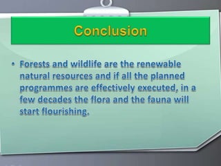 Forest and Wildlife Resources | PPTX