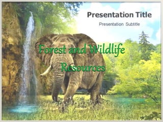 Forest and Wildlife Resources | PPTX