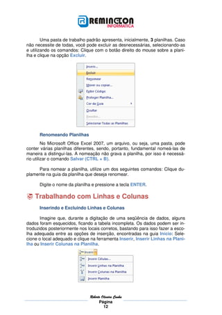 Uma pasta de trabalho padrão apresenta, inicialmente, 3 planilhas. Caso
não necessite de todas, você pode excluir as desnecessárias, selecionando-as
e utilizando os comandos: Clique com o botão direito do mouse sobre a plani-
lha e clique na opção Excluir.




      Renomeando Planilhas
         No Microsoft Office Excel 2007, um arquivo, ou seja, uma pasta, pode
conter várias planilhas diferentes, sendo, portanto, fundamental nomeá-las de
maneira a distingui-las. A nomeação não grava a planilha, por isso é necessá-
rio utilizar o comando Salvar (CTRL + B).

     Para nomear a planilha, utilize um dos seguintes comandos: Clique du-
plamente na guia da planilha que deseja renomear.

      Digite o nome da planilha e pressione a tecla ENTER.

    Trabalhando com Linhas e Colunas
      Inserindo e Excluindo Linhas e Colunas

       Imagine que, durante a digitação de uma seqüência de dados, alguns
dados foram esquecidos, ficando a tabela incompleta. Os dados podem ser in-
troduzidos posteriormente nos locais corretos, bastando para isso fazer a esco-
lha adequada entre as opções de inserção, encontradas na guia Início: Sele-
cione o local adequado e clique na ferramenta Inserir, Inserir Linhas na Plani-
lha ou Inserir Colunas na Planilha.




                               Roberto
                               Roberto Oliveira Cunha
                                     Página
                                        12
 