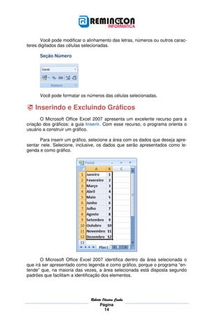 Você pode modificar o alinhamento das letras, números ou outros carac-
teres digitados das células selecionadas.

      Seção Número




      Você pode formatar os números das células selecionadas.

    Inserindo e Excluindo Gráficos
       O Microsoft Office Excel 2007 apresenta um excelente recurso para a
criação dos gráficos: a guia Inserir. Com esse recurso, o programa orienta o
usuário a construir um gráfico.

      Para inserir um gráfico, selecione a área com os dados que deseja apre-
sentar nele. Selecione, inclusive, os dados que serão apresentados como le-
genda e como gráfico.




       O Microsoft Office Excel 2007 identifica dentro da área selecionada o
que irá ser apresentado como legenda e como gráfico, porque o programa “en-
tende” que, na maioria das vezes, a área selecionada está disposta segundo
padrões que facilitam a identificação dos elementos.




                              Roberto
                              Roberto Oliveira Cunha
                                    Página
                                       14
 