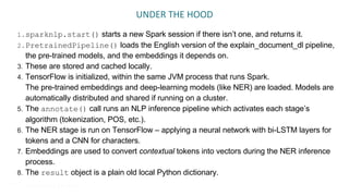 Advanced Natural Language Processing with Apache Spark NLP Slide 17