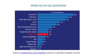 Advanced Natural Language Processing with Apache Spark NLP Slide 5