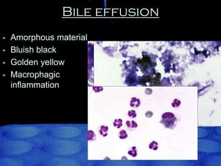 Bile effusion
Amorphous material
Bluish black
Golden yellow
Macrophagic
inflammation

 