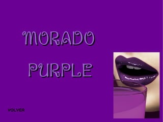 MORADO PURPLE VOLVER 