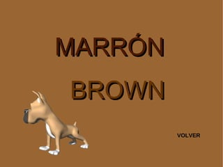 MARRÓN BROWN VOLVER 