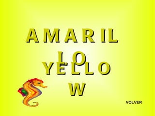 AMARILLO YELLOW VOLVER 