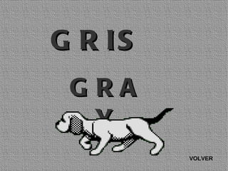 GRIS GRAY VOLVER 