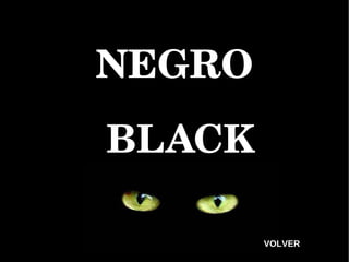 NEGRO BLACK VOLVER 