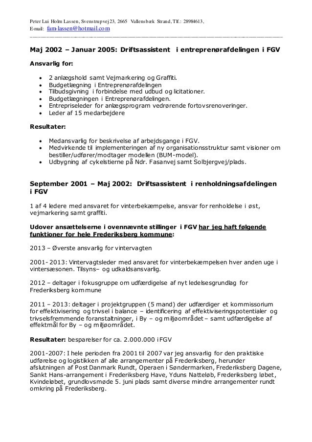 Curriculum vitae fgv 07 picture