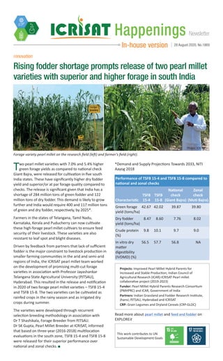 NewsletterHappenings
In-house version 28 August 2020, No.1869
Two pearl millet varieties with 7.0% and 5.4% higher
green forage yields as compared to national check
Giant Bajra, were released for cultivation in five south
India states. These have significantly higher dry fodder
yield and superior/or at par forage quality compared to
checks. The release is significant given that India has a
shortage of 284 million tons of green fodder and 122
million tons of dry fodder. This demand is likely to grow
further and India would require 400 and 117 million tons
of green and dry fodder, respectively, by 2025*.
Farmers in the states of Telangana, Tamil Nadu,
Karnataka, Kerala and Puducherry can now cultivate
these high-forage pearl millet cultivars to ensure feed
security of their livestock. These varieties are also
resistant to leaf spot and blight diseases.
Driven by feedback from partners that lack of sufficient
fodder is the major constraint to livestock production in
smaller farming communities in the arid and semi-arid
regions of India, the ICRISAT pearl millet team worked
on the development of promising multi-cut forage
varieties in association with Professor Jayashankar
Telangana State Agricultural University (PJTSAU),
Hyderabad. This resulted in the release and notification
in 2020 of two forage pearl millet varieties – TSFB 15-4
and TSFB 15-8. The two varieties can be cultivated as
rainfed crops in the rainy season and as irrigated dry
crops during summer.
The varieties were developed through recurrent
selection breeding methodology in association with
Dr T Shashikala, Forage Breeder from PJTSAU.
Dr SK Gupta, Pearl Millet Breeder at ICRISAT, informed
that based on three-year (2016-2018) multilocation
evaluations in the south zone, TSFB 15-4 and TSFB 15-8
were released for their superior performance over
national and zonal checks.
Innovation
Rising fodder shortage prompts release of two pearl millet
varieties with superior and higher forage in south India
Forage variety pearl millet on the research field (left) and farmer’s field (right).
Photos: ICRISAT
Performance of TSFB 15-4 and TSFB 15-8 compared to
national and zonal checks
Characteristic
TSFB
15-4
TSFB
15-8
National
check
(Giant Bajra)
Zonal
check
(Moti Bajra)
Green forage
yield (tons/ha)
42.67 42.02 39.87 39.80
Dry fodder
yield (tons/ha)
8.47 8.60 7.76 8.02
Crude protein
(%)
9.8 10.1 9.7 9.0
In vitro dry
matter
digestibility
(IVDMD) (%)
56.5 57.7 56.8 NA
*Demand and Supply Projections Towards 2033, NITI
Aayog 2018
Projects: Improved Pearl Millet Hybrid Parents for
Increased and Stable Production; Indian Council of
Agricultural Research (ICAR)-ICRISAT Pearl millet
collaborative project (2019-2023)
Funder: Pearl Millet Hybrid Parents Research Consortium
(PMHPRC) and ICAR, Government of India
Partners: Indian Grassland and Fodder Research Institute,
Jhansi; PJTSAU, Hyderabad and ICRISAT
CRP: Grain Legumes and Dryland Cereals (CRP-GLDC)
Read more about pearl millet and feed and fodder on
EXPLOREit
This work contributes to UN
Sustainable Development Goals
 