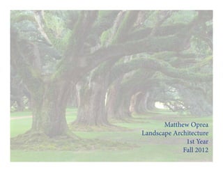 Matthew Oprea
Landscape Architecture
1st Year
Fall 2012
 