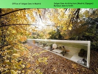 Office of Selgas Cano in Madrid   Selgas Cano Architecture (Madrid, Espagne)
                                  Bureaux dans la forêt.
 