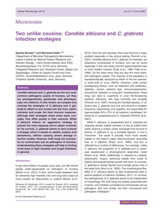 estrategies infection, c. albicans and c. glabrata | PDF