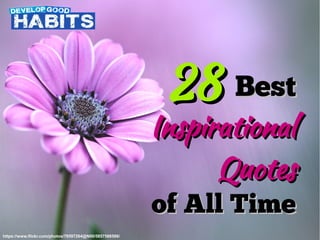 BestBest
InspirationalInspirational
QuotesQuotes
of All Timeof All Time
2828
https://www.flickr.com/photos/78597264@N00/5857588586/
 