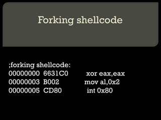 Forking shellcode ;forking shellcode: 00000000  6631C0  xor eax,eax 00000003  B002  mov al,0x2 00000005  CD80  int 0x80 