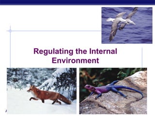 AP Biology 2006-2007
Regulating the Internal
Environment
 