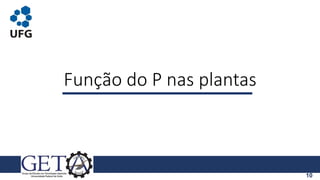 Função do P nas plantas
10
 