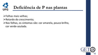 12
Deficiência de P nas plantas
Folhas mais velhas;
Retardo do crescimento;
Nas folhas, os sintomas são: cor amarela, pouco brilho,
cor verde-azulada.
 