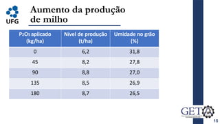 15
Aumento da produção
de milho
P2O5 aplicado
(kg/ha)
Nível de produção
(t/ha)
Umidade no grão
(%)
0 6,2 31,8
45 8,2 27,8
90 8,8 27,0
135 8,5 26,9
180 8,7 26,5
 
