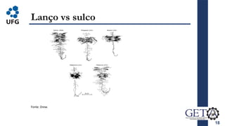 18
Lanço vs sulco
Fonte: Drew.
 