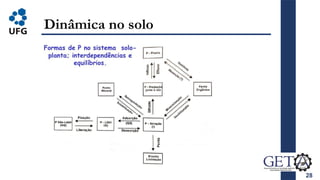 28
Dinâmica no solo
 