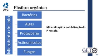 32
Fósforo orgânico
Microbiota
do
solo
Bactérias
Algas
Protozoário
Actinomicetos
Fungos
Mineralização e solubilização do
P no solo.
 