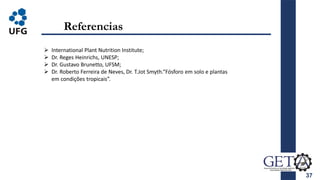 Referencias
37
 International Plant Nutrition Institute;
 Dr. Reges Heinrichs, UNESP;
 Dr. Gustavo Brunetto, UFSM;
 Dr. Roberto Ferreira de Neves, Dr. T.Jot Smyth.“Fósforo em solo e plantas
em condições tropicais”.
 