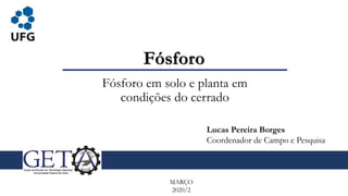 Fósforo
Fósforo em solo e planta em
condições do cerrado
MARÇO
2020/2
Lucas Pereira Borges
Coordenador de Campo e Pesquisa
 