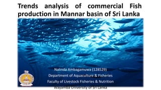Trends analysis of commercial Fish
production in Mannar basin of Sri Lanka
Nalinda Ambagamuwa (128529)
Department of Aquaculture & Fisheries
Faculty of Livestock Fisheries & Nutrition
Wayamba University of Sri Lanka
 