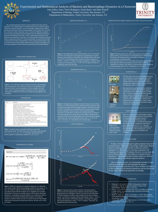 Experimental and Mathematical | PDF 