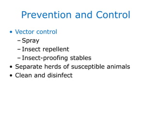 EQUINE INFECTIOUS ANAEMIA 2025 updated.ppt