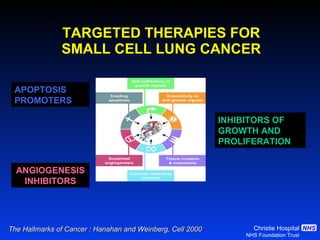 TARGETED THERAPIES FOR SMALL CELL LUNG CANCER The Hallmarks of Cancer : Hanahan and Weinberg, Cell 2000 ANGIOGENESIS INHIBITORS INHIBITORS OF GROWTH AND PROLIFERATION  APOPTOSIS PROMOTERS 