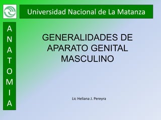 Universidad Nacional de La Matanza

A
N       GENERALIDADES DE
A        APARATO GENITAL
T          MASCULINO
O
M
I
                Lic Heliana J. Pereyra
A
 