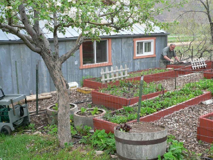 28) high raised beds & barrels